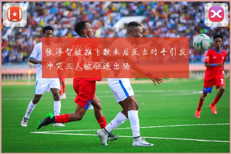 张淳智被推飞数米后反击对手引发冲突三人被驱逐出场