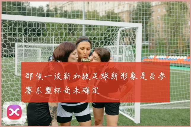 邵佳一谈新加坡足球新形象是否参赛东盟杯尚未确定