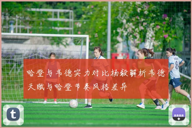哈登与韦德实力对比杨毅解析韦德天赋与哈登节奏风格差异